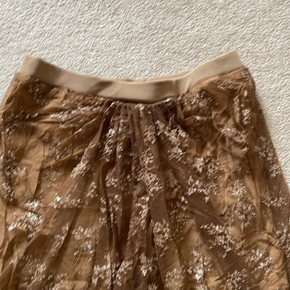 Zara brown glitter mesh skirt - Picture 2 of 3